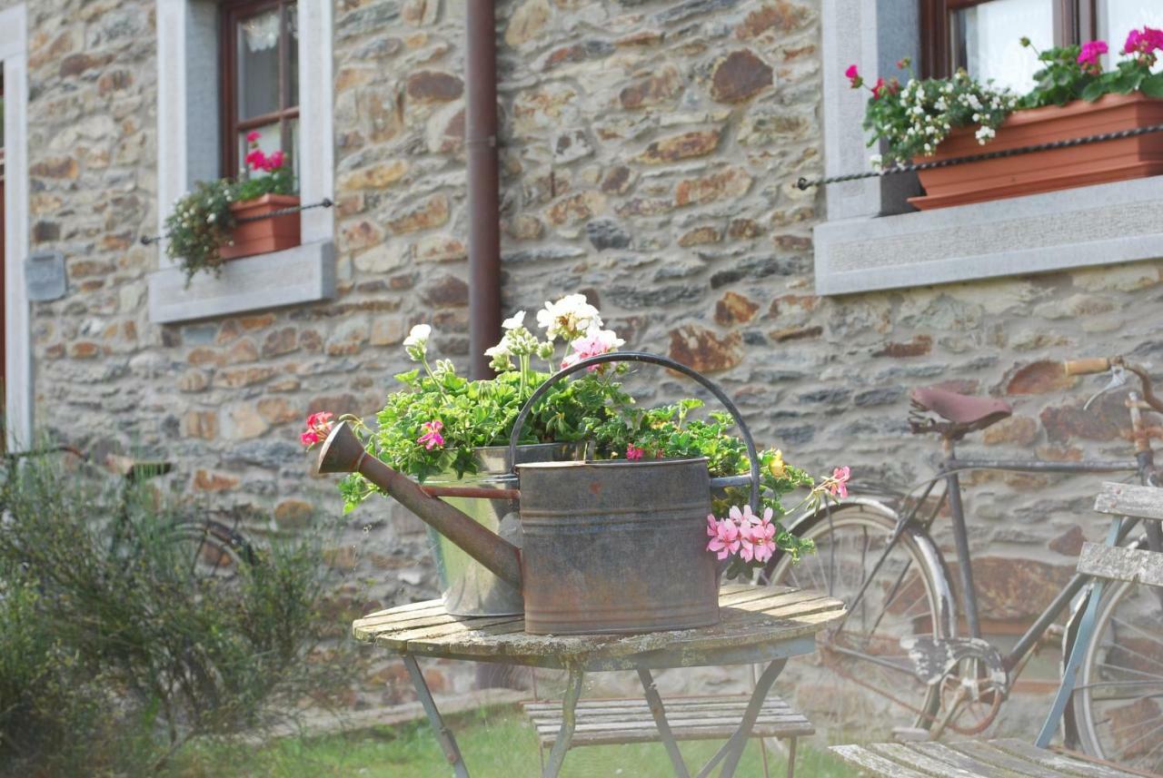 Petite Reine Villa Bertrix Dış mekan fotoğraf